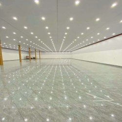 CHO THUÊ TRỆT HOẶC NGUYÊN TÒA