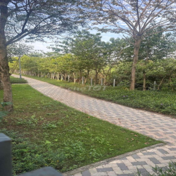 🏡 CHO THUÊ NHÀ PHỐ – SHOPHOUSE– BIỆT THỰ & PHÒNG FULL NỘI THẤT :