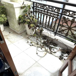 NHÀ LÀM CHDV 15PN 11WC CHO KÝ 10 NĂM - 40TR/THÁNG