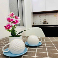 Mình chính chủ cần cho thuê ccmn 1n1k