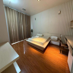 Cho thuê Biệt Thự KDC HimLam Tân Hưng Quận 7