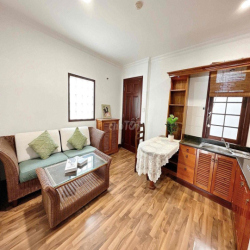 Căn hộ 1pn 60m2 full nội thất Huỳnh Tịnh Của - Q3