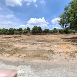 Cho THUÊ ĐẤT làm KHO, trạm sạc.. đ.Hùng Vương, Nhơn Trạch, Đồng Nai