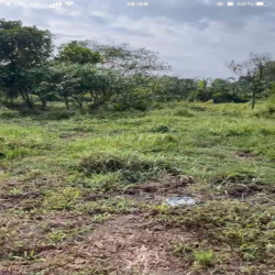 Cho thuê đất 4.800m, 15 triệu, đường Đặng Văn Búp,phước hậu, cần giuộc