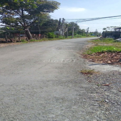 Cho thuê đất 4.800m, 15 triệu, đường Đặng Văn Búp,phước hậu, cần giuộc