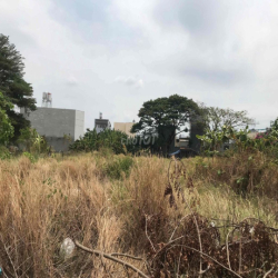 cho thuê 6240m2  mặt tiền Tăng nhơn phú, dt 100x85m, q9 cũ, giá 70k/m2