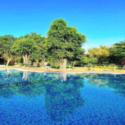 Cho thuê căn Dream Home Gò Vấp, 64 m2, 2 PN, 2 wc, có Nội thất gần ful