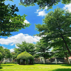 Cho thuê căn Dream Home Gò Vấp, 64 m2, 2 PN, 2 wc, có Nội thất gần ful