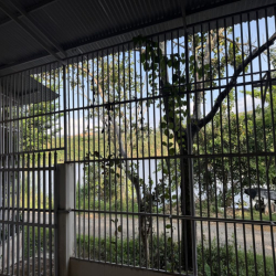 Cho thuê nhà nghỉ dưỡng view hồ tuyệt đẹp tại Hồ Lộc Nam (gần Bảo Lộc)