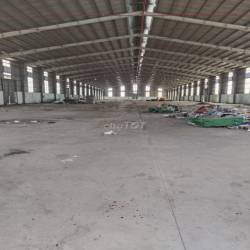 Cho Thuê Nhà Xưởnng Mỹ Hạnh Bắc Đức Hòa Long An