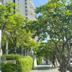 Diamond Lotus Riverside_2PN_1WC_ Nhà Mới_GIÁ TỐT