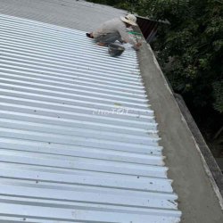 Cần tìm người thuê lâu dài