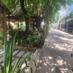 cho thuê hơn 3000m2 khu trung tâm quận 12 thích hợp làm kho bãi, BBQ..