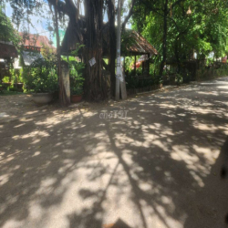 cho thuê hơn 3000m2 khu trung tâm quận 12 thích hợp làm kho bãi, BBQ..