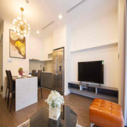 Căn hộ 2PN full nt Saigon Royal Residence Q4