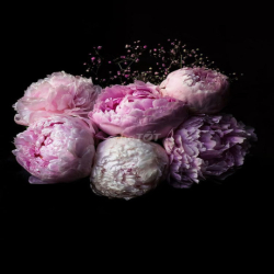 Cho thuê hẻm 6 m đường đỗ nhuận cách 30 m ra mặt tiền lê Trọng Tấn: 