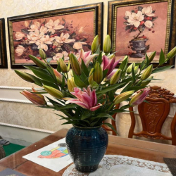Cho thuê nhà ở Kim Mã