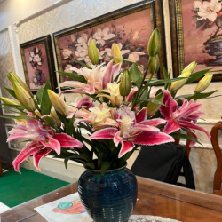 Cho thuê nhà ở Kim Mã