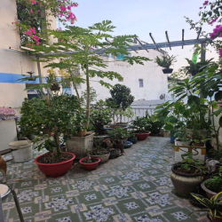 NHÀ BÁN ĐƯỜNG LÊ MINH NGƯƠN (GẦN NHÀ THUỐC PHI PHỤNG )