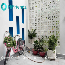 Cho thuê CHDV studio mới - đường Kinh Dương Vương - gần Aeon Bình Tân