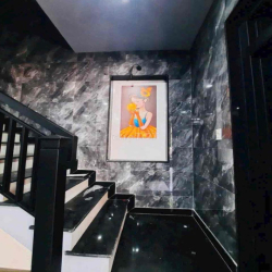 cho thuê nhà 3 tầng đường trần khánh dư , khu phố tây an thượng