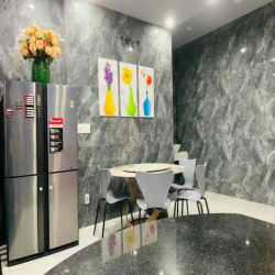 cho thuê nhà 3 tầng đường trần khánh dư , khu phố tây an thượng