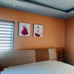 cho thuê nhà 3 tầng đường trần khánh dư , khu phố tây an thượng