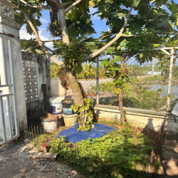 chính chủ bán nhà cấp 4 tại Cầu Sấu Dương tơ Phú Quốc