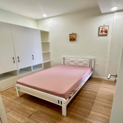 cho thuê căn hộ trung tâm tphcm