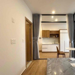 Căn hộ studio mới thiết kế hiện đại Full nội thất gần Lotte Q7