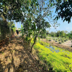 NHÀ VƯỜN AO CÁ 2000M GẦN NAM LONG