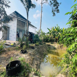 NHÀ VƯỜN AO CÁ 2000M GẦN NAM LONG