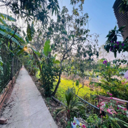 NHÀ VƯỜN AO CÁ 2000M GẦN NAM LONG
