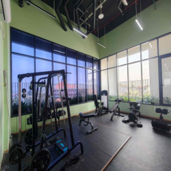 chính chủ cho thuê không qua trung gian giá rẻ