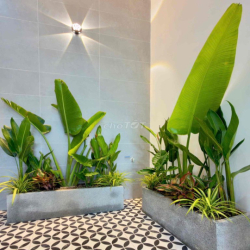 💎 Nhà 3 tầng tân cổ điển 5x16m ( dtsd 180m2) đường Trần Can - Hẻm cấp