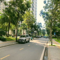 HOT NHẤT- EM CHO THUÊ SHOPHOUSE KHỐI ĐẾ CHUNG CƯ 65M2 ĐÃ HOÀN THIỆN