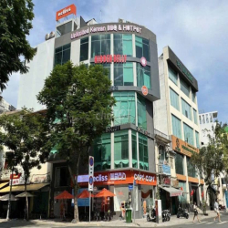 CHO THUÊ NHÀ TRẦN QUANG DIỆU, QUẬN 3