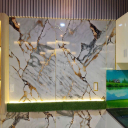 cho thuê căn hộ  new lavida phường tân đông hiệp .dĩ an bình dương.