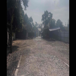 Cho thuê bãi đậu xe dường Mỹ Phước Tân Vạn Dĩ An