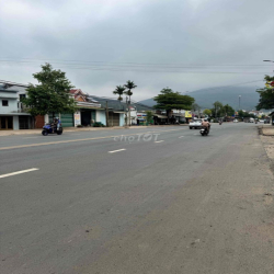 Nhà đất chính chủ mặt tiền ql20