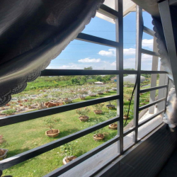 PHÒNG VIEW VƯỜN HỒNG ! THOÁNG MÁT ! CÓ MÁY GIẶT !!