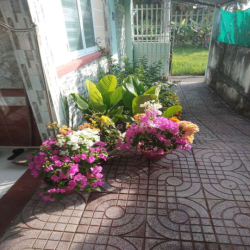 nhà mới cho thuê