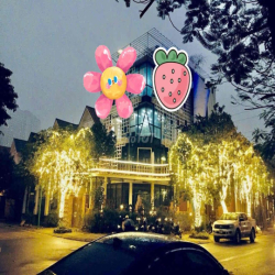 Cho thuê Biệt Thự  Linh Đàm (Lô góc- thang máy).S:200m.giá 100 tr/than