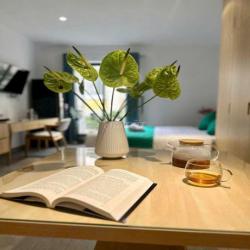 STUDIO BAN CÔNG FULL NT GẦN TRẦN NÃO - SALA THỦ THIÊM - CC BỘ CÔNG AN