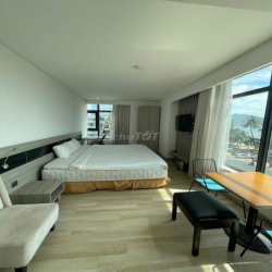 (Hot) cho thuê căn hộ studio Mường Thanh Viễn Triều chỉ 7tr/tháng.