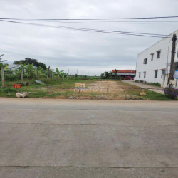 Cho thuê đất 444m2 tại Thôn Thi Thại, giá siêu hời 