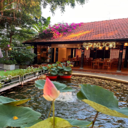 Cho thuê nhà MT Sân vườn đường Nguyễn Hữu Cảnh, P22, Bình Thạnh.