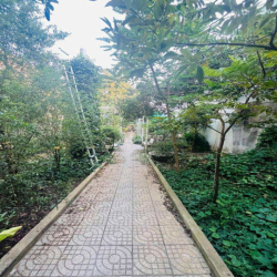 Cho thuê nhà 500 m2 đường 3/2 tiện có sân rộng 20 triệu