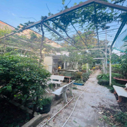 Cho thuê nhà 500 m2 đường 3/2 tiện có sân rộng 20 triệu