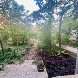 Cho thuê nhà 500 m2 đường 3/2 tiện có sân rộng 20 triệu